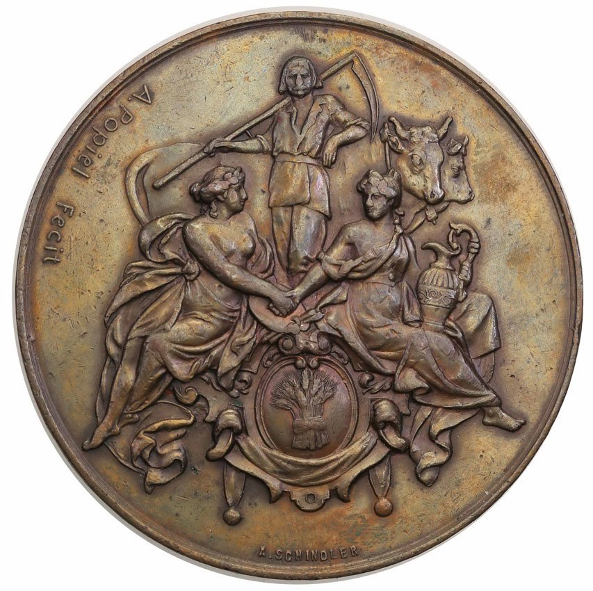 Medal. Powszechna Wystawa Krajowa Lwów 1894.